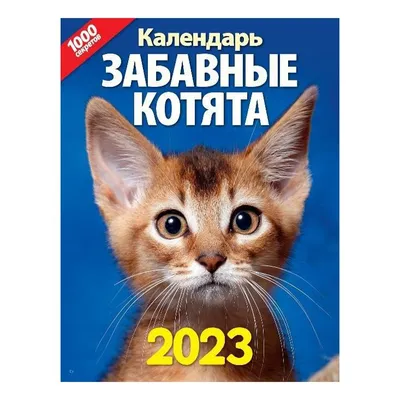 Календарь Забавные Котята в METRO - купить с доставкой на дом в СберМаркете