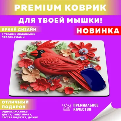 Игровой коврик для мыши Забавные зверята Птицы, M, белый - купить с  доставкой по выгодным ценам в интернет-магазине OZON (1272717703)