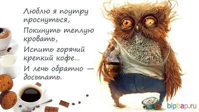 Прикольные картинки "Доброе утро!" (300 шт.) » Юмор, позитив и много  смешных картинок