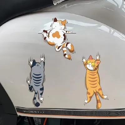 Купить 3 шт., индивидуальные забавные забавные домашние кошки,  автомобильные царапины, белые наклейки для автомобилей с кошками, наклейки  для тела, царапины | Joom