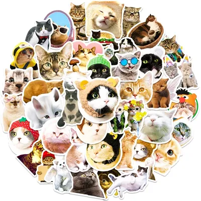 многие забавные кошки домашние животные празднуют новый год иллюстрация  генеративной помощи Иллюстрация штока - иллюстрации насчитывающей смешно,  ангстрома: 264968432