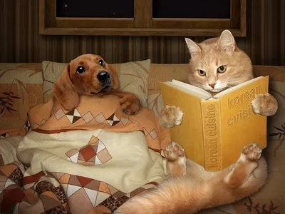 многие забавные кошки домашние животные празднуют новый год иллюстрация  генеративной помощи Иллюстрация штока - иллюстрации насчитывающей красно,  конструкция: 264968431