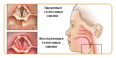 Лизобакт таблетки для рассасывания 30 шт. - отзывы покупателей на Мегамаркет