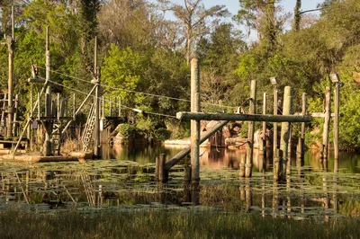 Фото этого заброшенного аквапарка Disney напоминают постапокалиптический  мир | Красная планета | Дзен