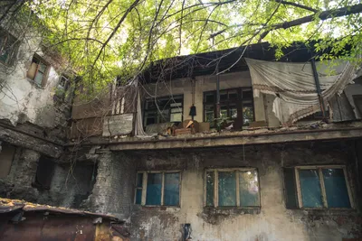В селе под Торжком нашли заброшенный дом, изукрашенный деревянной резьбой -  ТИА