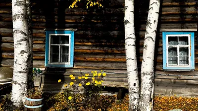 заброшенный дом покрытый плющом, заброшенный дом частный дом плюща, Hd  фотография фото, завод фон картинки и Фото для бесплатной загрузки