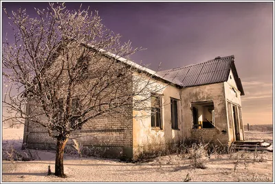 Картина Заброшенный дом (Beelitz) ᐉ Новичонок Ирина ᐉ онлайн-галерея  Molbert.