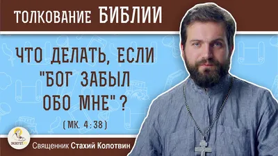 Привет, не забыл обо мне?🦔 Предлагаю немножко поактивничать в Telegram!😊  Приходи, смотри закреплённый.. | ВКонтакте