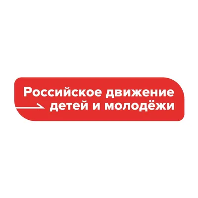 Какие перспективы или зачем вступать в "Движение Первых"? | Активистка,  которая всë успевает | Дзен