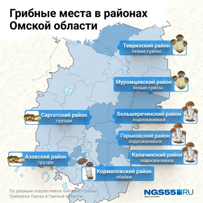 Где можно собрать грибы в Омской области в 2021 году -  -  НГС55