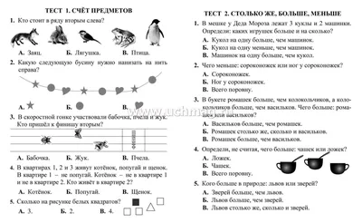 Логические задачи, решение, объяснения. Математика 1 класс. Подготовка к  школе. - YouTube