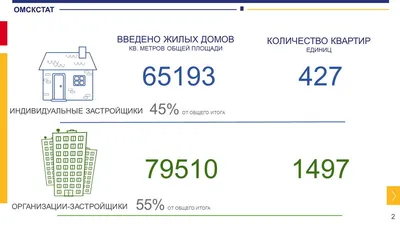 Розовые пеликаны прилетели в Омск -  - НГС55