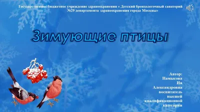 Зимующие птицы России - карточки Монтессори купить и скачать | Зима,  Монтессори, Птицы