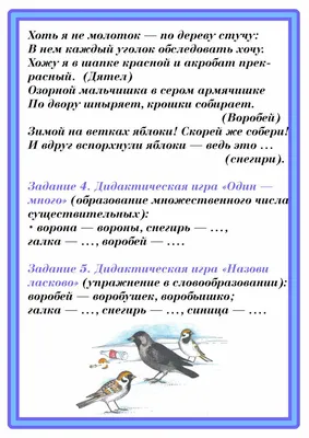 Домашнее задание: "Зимующие птицы"