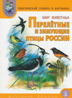 Логопедические домашние задания для детей 5-7 лет с ОНР. Альбом №2. Новое  издание - купить книгу в интернет-магазине CentrMag по лучшим ценам!  (00-01057645)