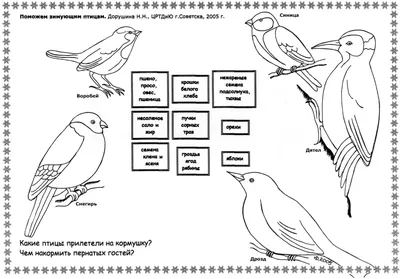Раскраска птицы зимующие и перелетные - 77 фото