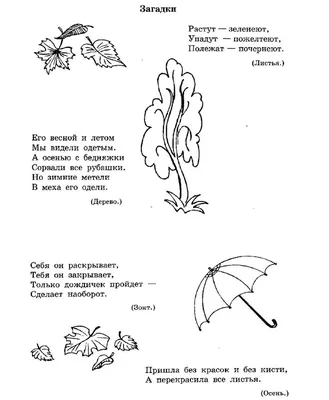 Комплексное повторение на уроках русского языка в 5 классе