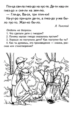 Считай, решай, на вопросы отвечай. Развивающее пособие для детей от 4-6 лет  • Игнатьева Л.В., купить по низкой цене, читать отзывы в  •  Эксмо-АСТ • ISBN 978-5-09-107720-9, p6785508