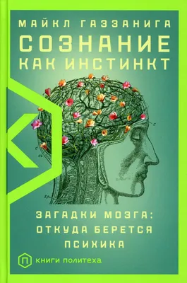 Книга Загадки Женского Мозга - купить в интернет-магазинах, цены в Москве  на Мегамаркет | 160967