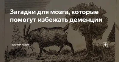 Загадки для тренировки мозга - купить книгу с доставкой в интернет-магазине  «Читай-город». ISBN: 978-5-17-151670-3