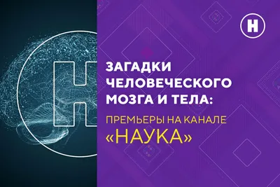 Секреты мозга и загадки тела: премьеры научно-популярных фильмов на  телеканале «Наука»