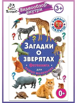 Книга Стихи и сказки, рассказы и загадки для детей от 5 до 7 лет - купить  детской художественной литературы в интернет-магазинах, цены на Мегамаркет |