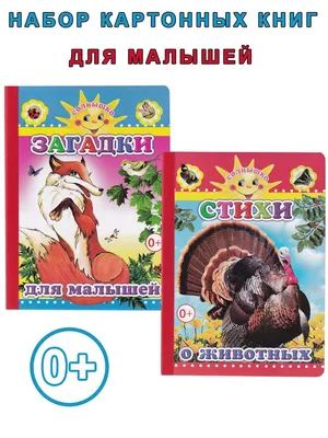 Книга: "Загадки для детей 10-14 лет. Познавательные школьные загадки" -  Иванова, Черняева. Купить книгу, читать рецензии | ISBN 978-5-379-00965-6 |  Лабиринт