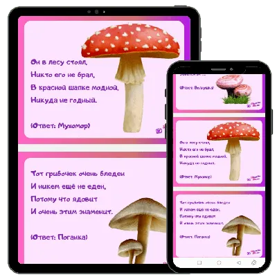 72 лучшие загадки про грибы для детей с ответами
