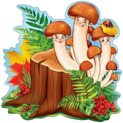 Загадки про грибы - Детский Портал Знаний