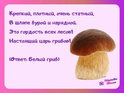 72 лучшие загадки про грибы для детей с ответами