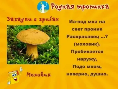 Загадки про грибы. Красивые картинки с ответами. - YouTube