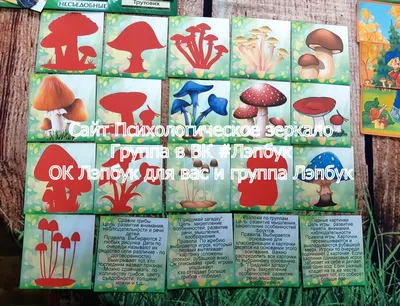 Загадки о грибах в картинках и рисунках для детей.