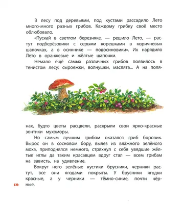 Зимний лес: Веселые кроссворды, лабиринты и загадки о природе — купить  книгу Марины Майборода на сайте 