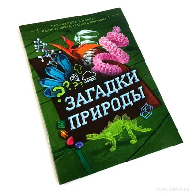 Альпина. Книги Зимний лес Веселые кроссворды, лабиринты и загадки о природе