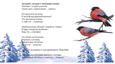 Птицы. Сборник развивающих заданий с наклейками: Загадки, пословицы,  скороговорки. 40 интерактивных заданий. Интересные факты о птицах – купить  по цене: 125,10 руб. в интернет-магазине УчМаг