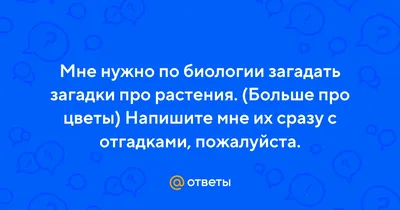 Загадки о комнатных растениях для дошкольников (1 фото). Воспитателям  детских садов, школьным учителям и педагогам - Маам.ру