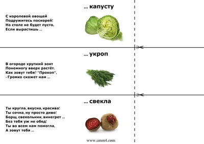 Загадки для детей | Круглый кот загадки в стихах | Загадки про цветы и  растения - YouTube