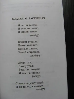 183 загадки про растения: изучаем природу с детьми