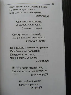 Иллюстрация 23 из 23 для Загадки о растениях и животных: Справочник  школьника - Ольга Ушакова | Лабиринт -