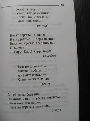 183 загадки про растения: изучаем природу с детьми