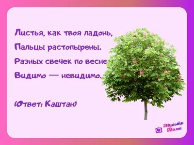 Презентация на тему: "Загадки о растениях леса.". Скачать бесплатно и без  регистрации.