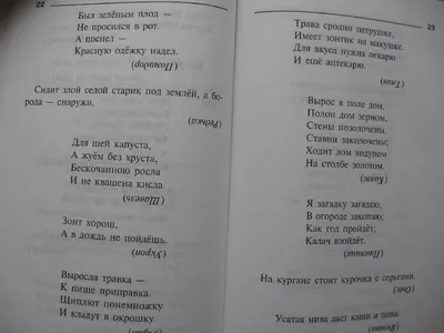 Иллюстрация 19 из 23 для Загадки о растениях и животных: Справочник  школьника - Ольга Ушакова | Лабиринт -