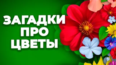 Загадки о цветах для взрослых и детей | уДачный выбор | Дзен