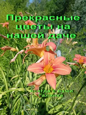 Купить Букет цветов "Загадки осени" в Москве недорого с доставкой