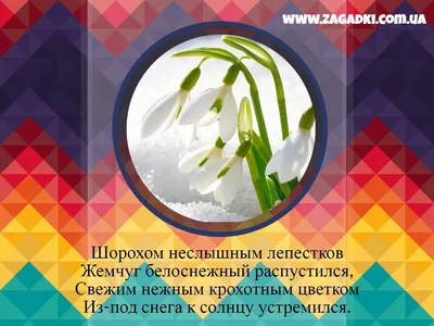 Проект «Цветы вокруг нас» в группе «Полянка» — МАДОУ д/с №149 города Тюмени