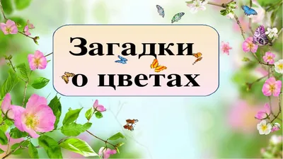 Загадки о цветах (2 фото). Воспитателям детских садов, школьным учителям и  педагогам - Маам.ру