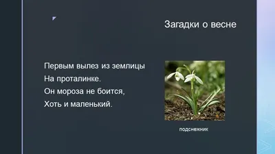 Загадки про весну для дітей: цікаві головоломки з відповідями - Радіо  Незламних