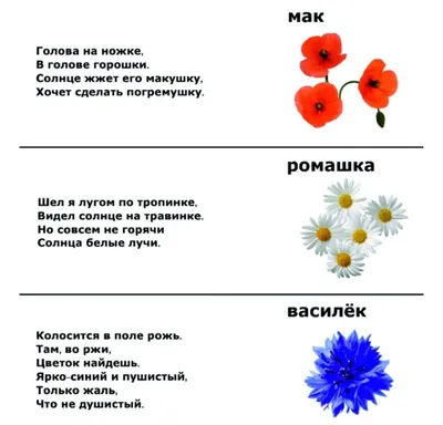 Книга IQ-загадки и лабиринты-отгадки 5+ Карина Погосова в продаже на ,  купить книги загадок для детей по выгодным ценам в Минске. Беларусь