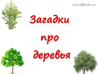 ЗАГАДКИ про ДЕРЕВЬЯ - YouTube