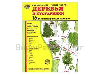 Демонстрационные картинки "Деревья и кустарники" купить по цене  р. |  Оснащение школ | ВнешРегионТорг